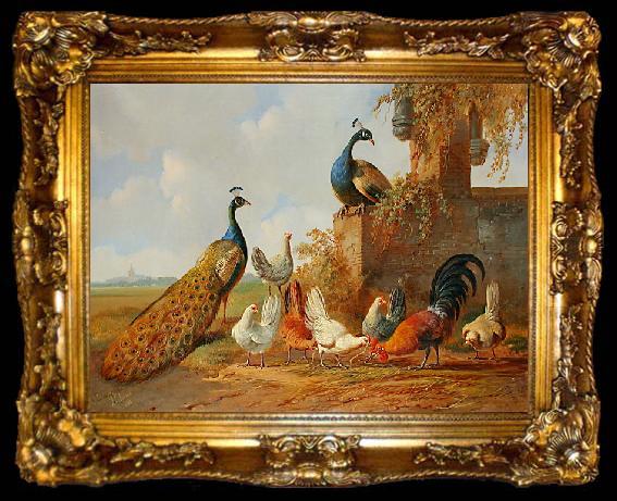 framed  unknow artist Albertus Verhoesen: Peacocks and chickens, ta009-2